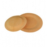 Free Sample Natural Disposable Bamboo Sushi Plate