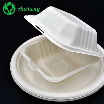 White biodegradable sugarcane oval plates bagasse pulp lunch box