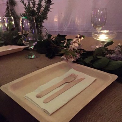 wholesale compostable disposable wooden plates