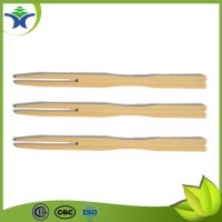 Party Use Healthy Disposable Bamboo Fruit Fork