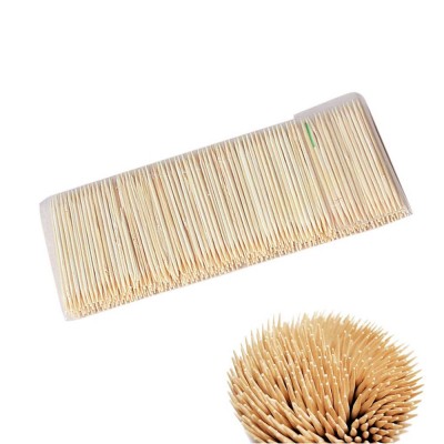 Disposable Wooden Toothpick in bottle