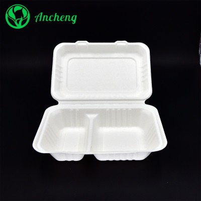 bagasse pulp lunch box sugarcane food container